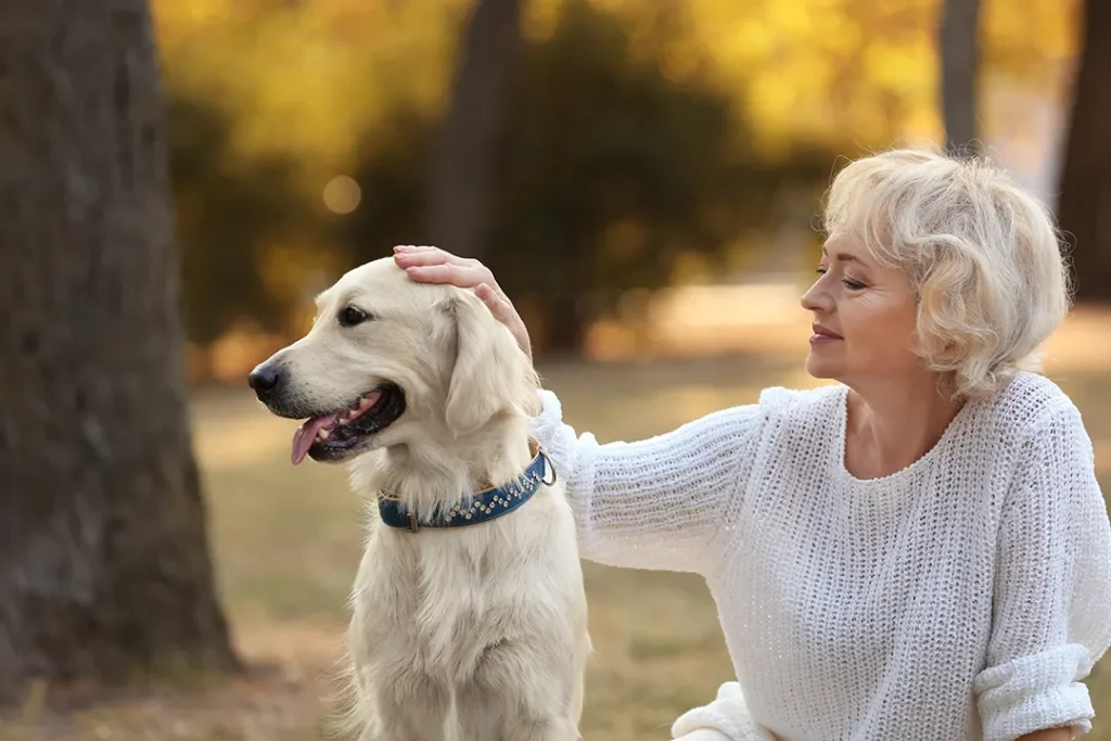 An older woman sitting outdoors in a park, gently petting a golden retriever who looks off into the distance with its tongue out.